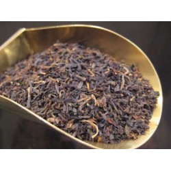 Darjeeling - Thé Noir