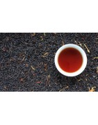Nos Thés Noir